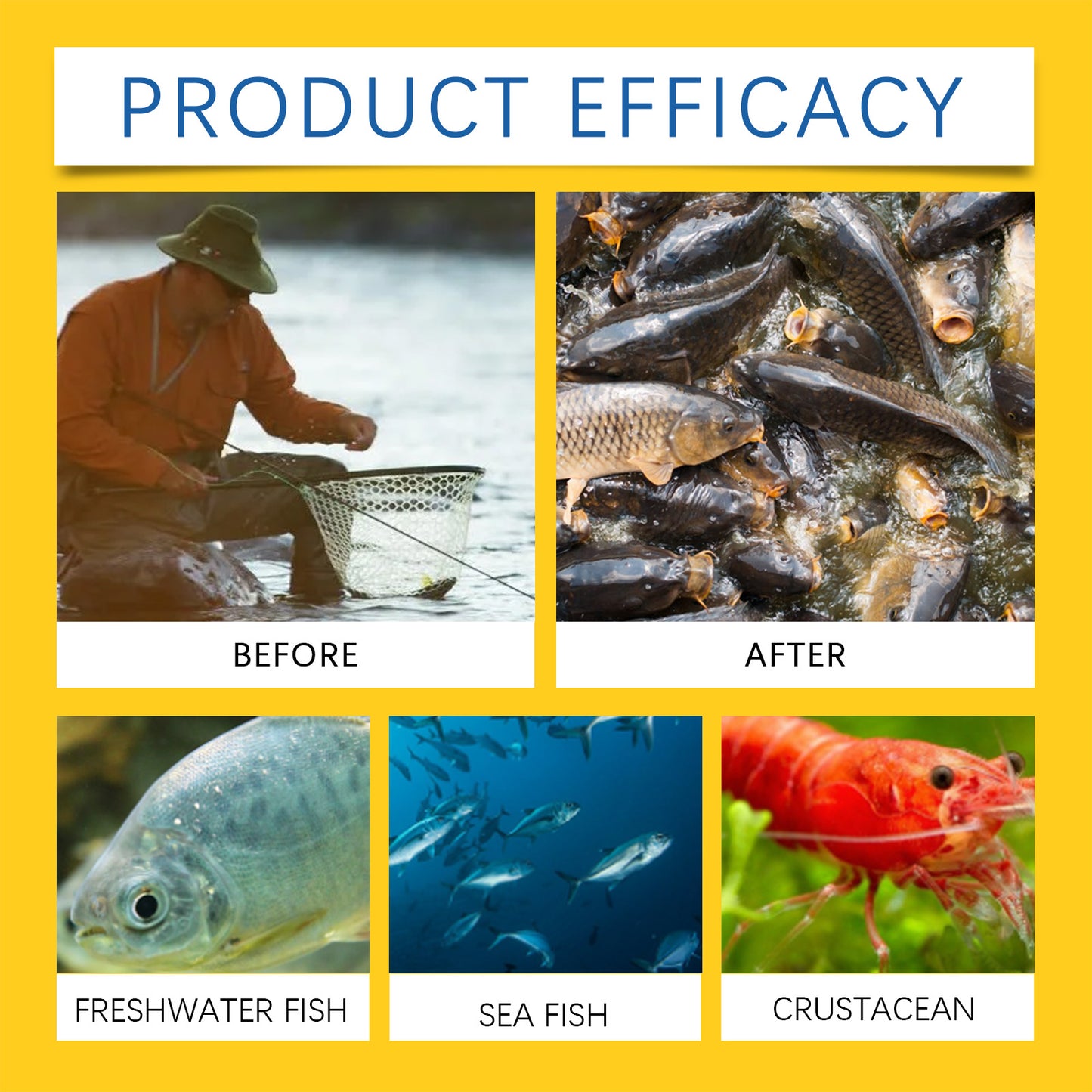 Yegbong Red Worm Fish Bait Agent Fish Bait Fish Feed Nutrient Agent Fishing Wild Fishing Fish Attractant Fish Lure Agent