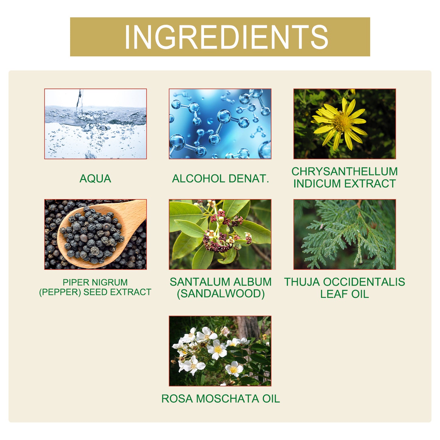 OUHOE Charm Perfume Natural Fresh Niche Long-lasting Fragrance Portable Couple Date Atmosphere Perfume