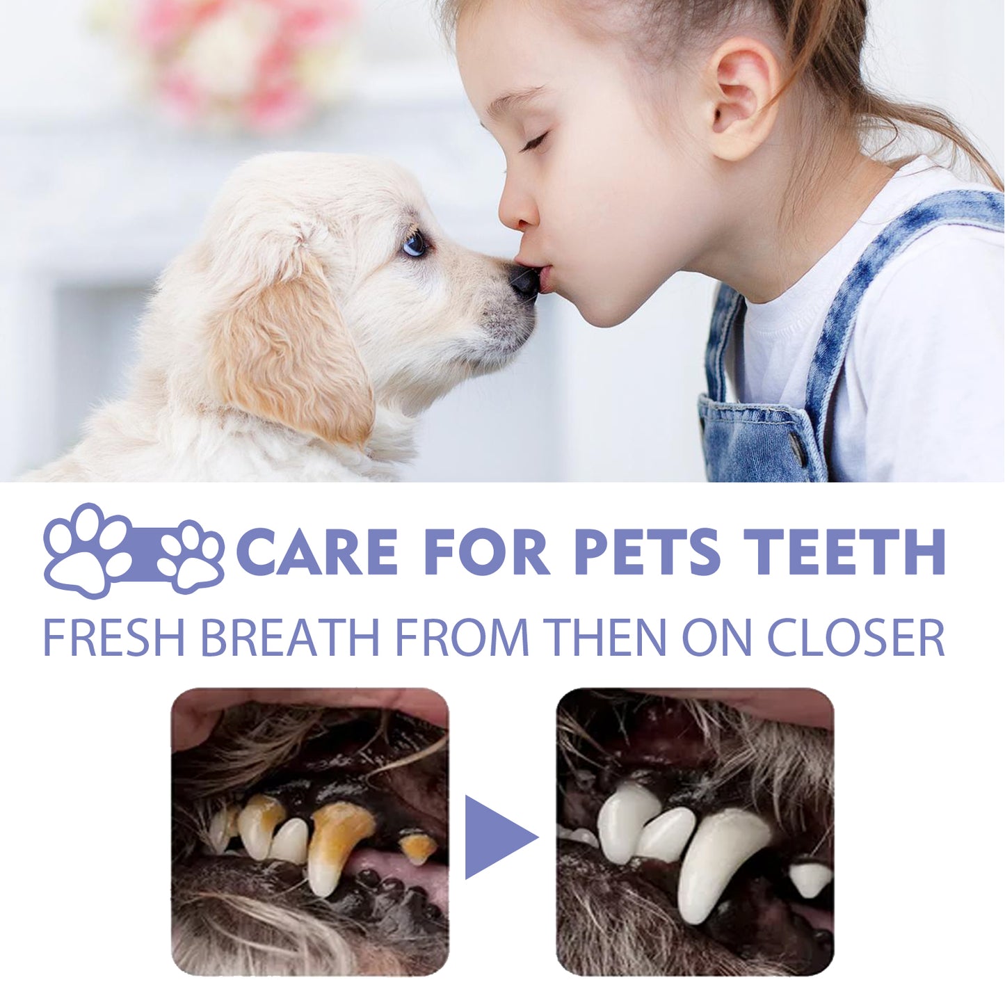 Yegbong Dog and Cat Teeth Cleaning Spray Pet Oral Cleaning Fresh Breath Deodorizing Spray