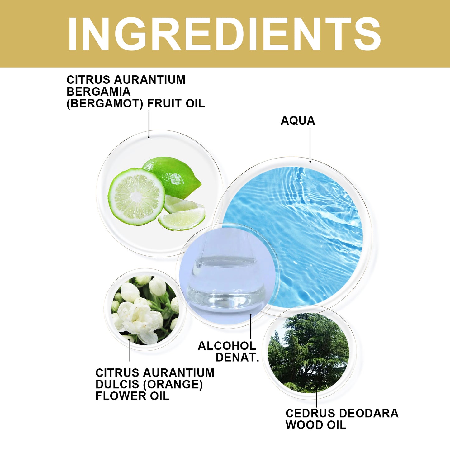 North moon Perfume Fresh Fragrance Deodorizing Long-lasting Niche Light Scent Couple Date Atmosphere Perfume