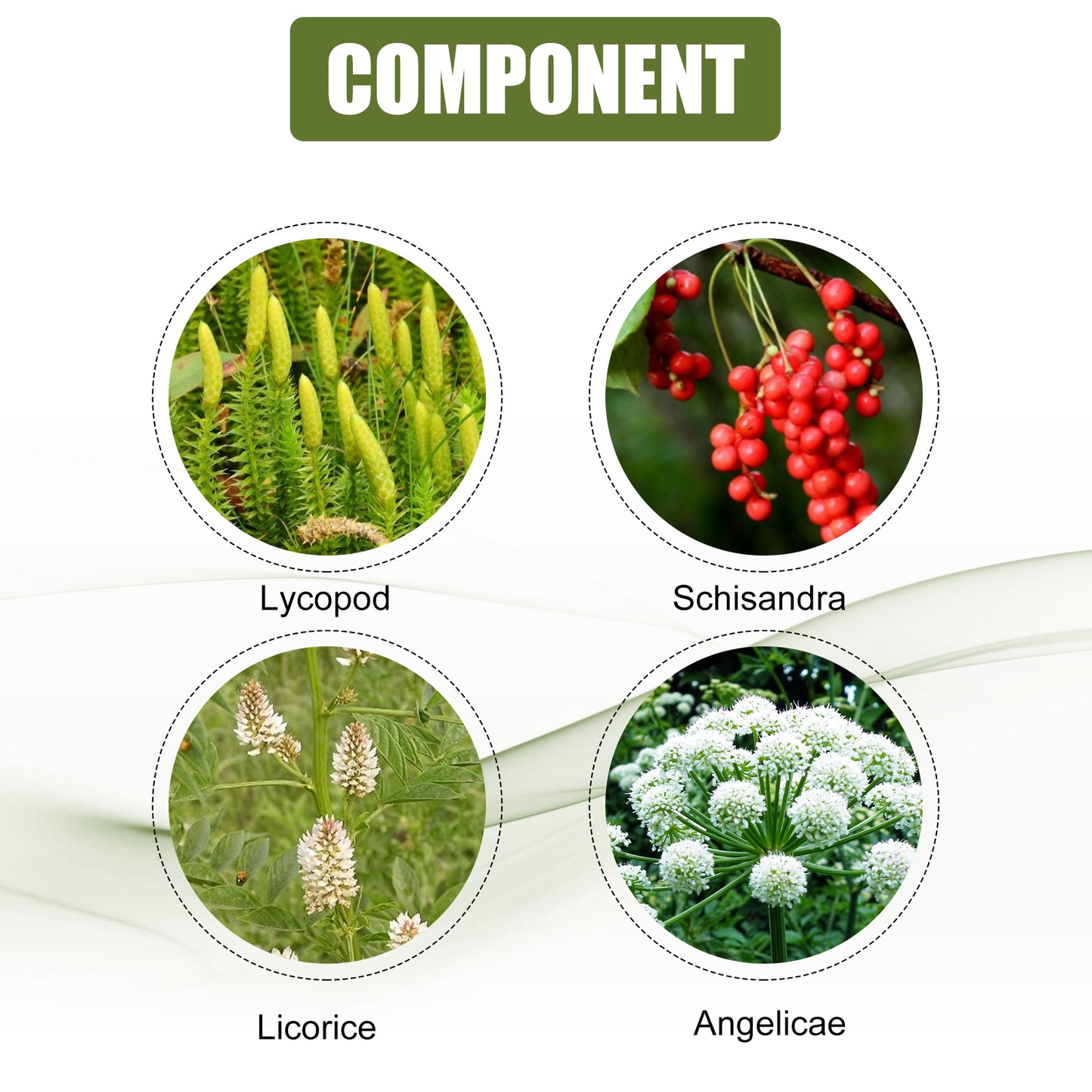 EELHOE Leg Repair Cream Relieve Leg Discomfort Massage Leg Vein Protrusion Pulse Health Repair Cream