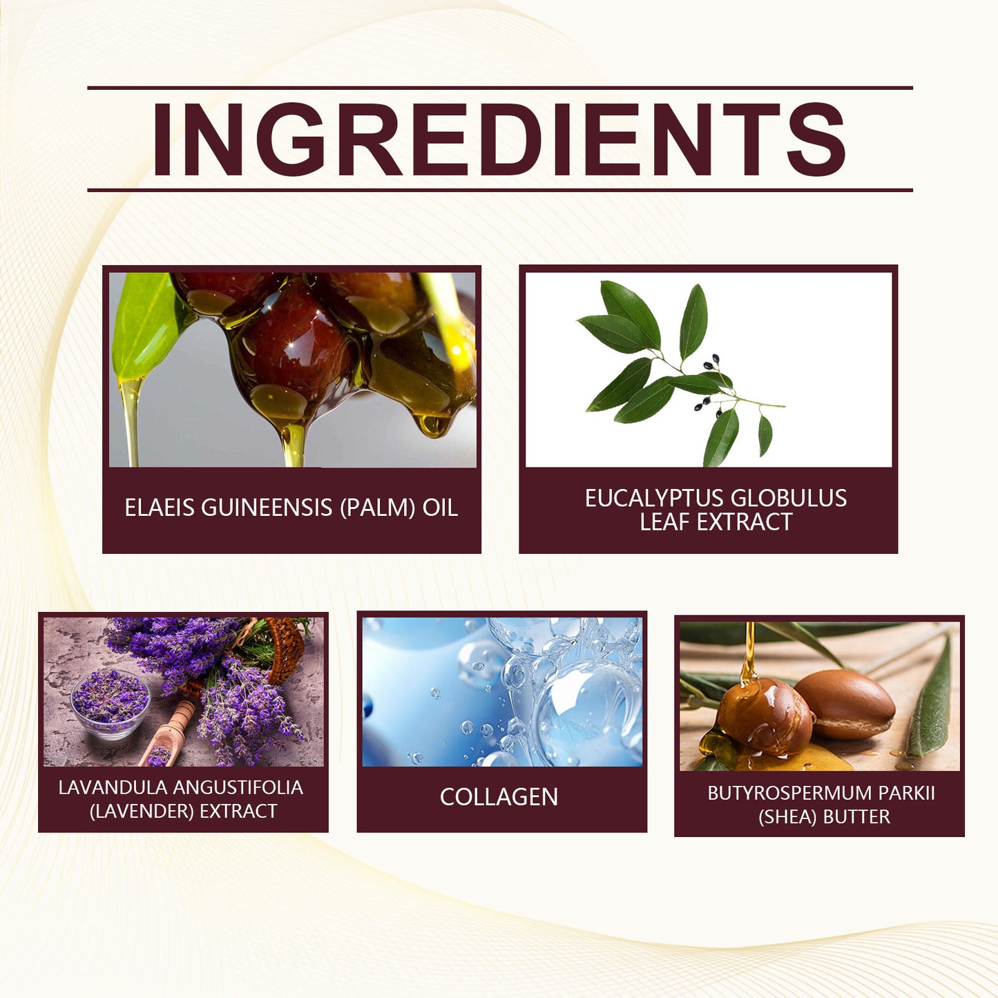 EELHOE Batahna Oil Strengthening and Volumizing Conditioner Repair frizzy hair texture, nourish hair, smooth hair care