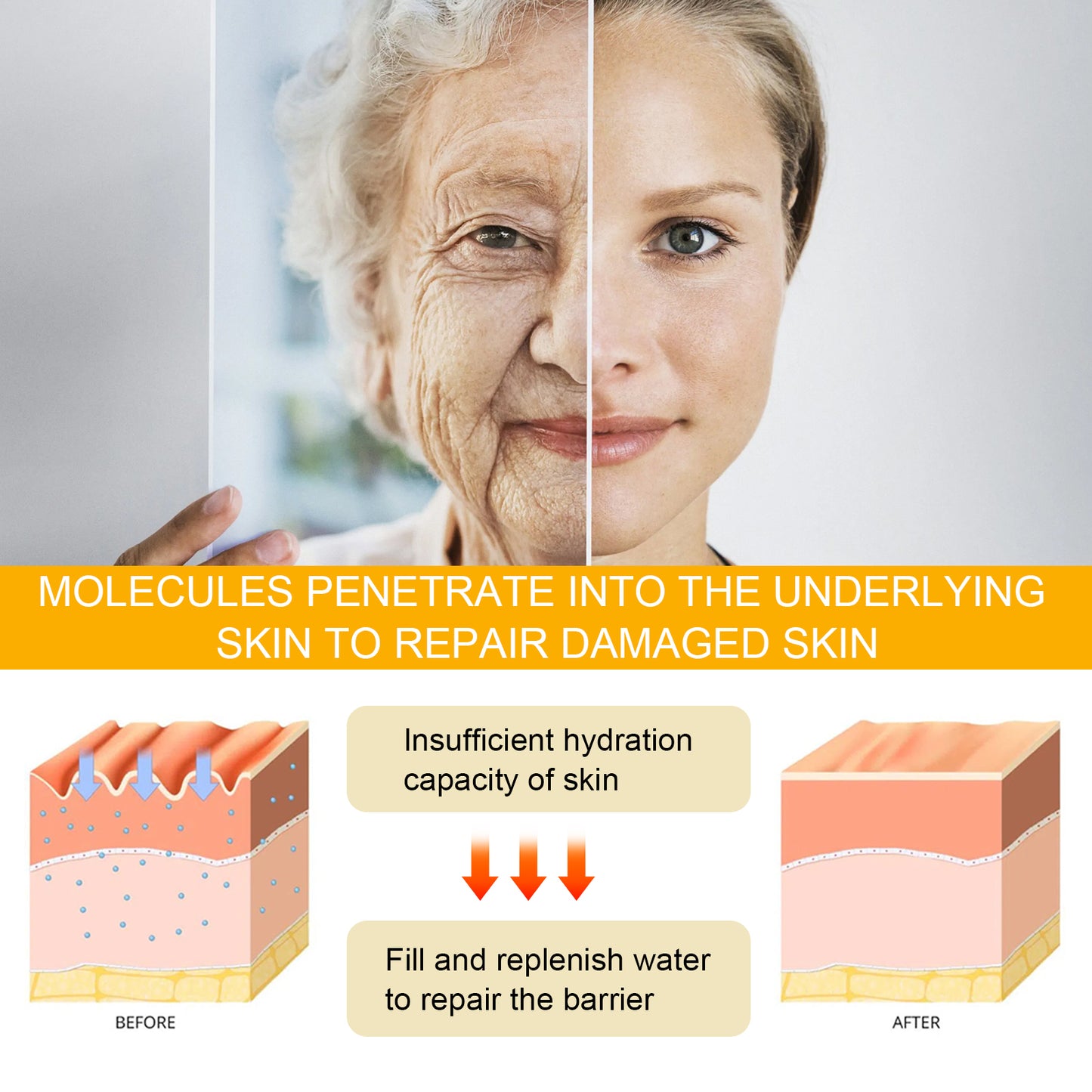 EELHOE Ginseng Essence Facial skin moisturizing eye area delicate elasticity rejuvenating serum