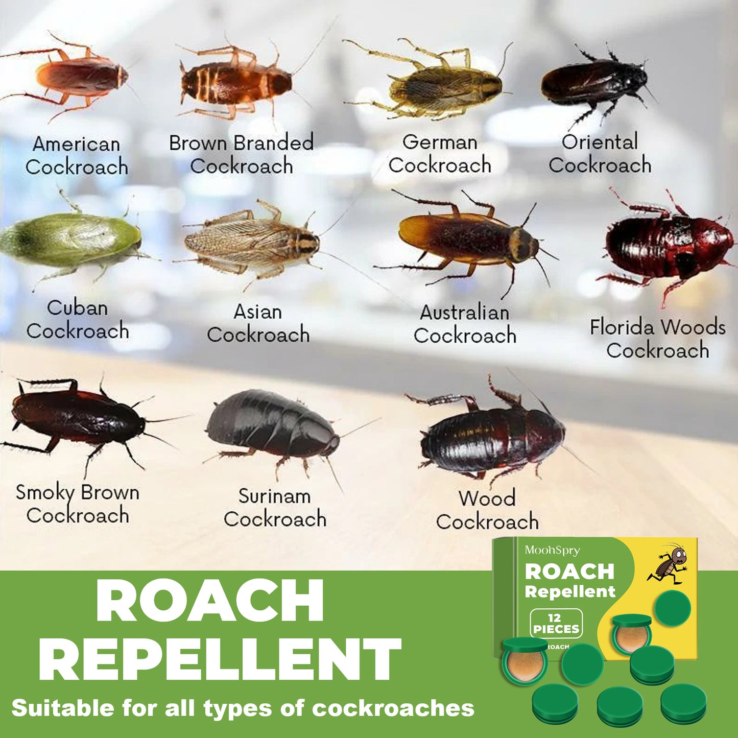 MoonSpry cockroach repellent Household Dormitory Kitchen Powerful Cleaning Cockroach Killer Cockroach Repellent
