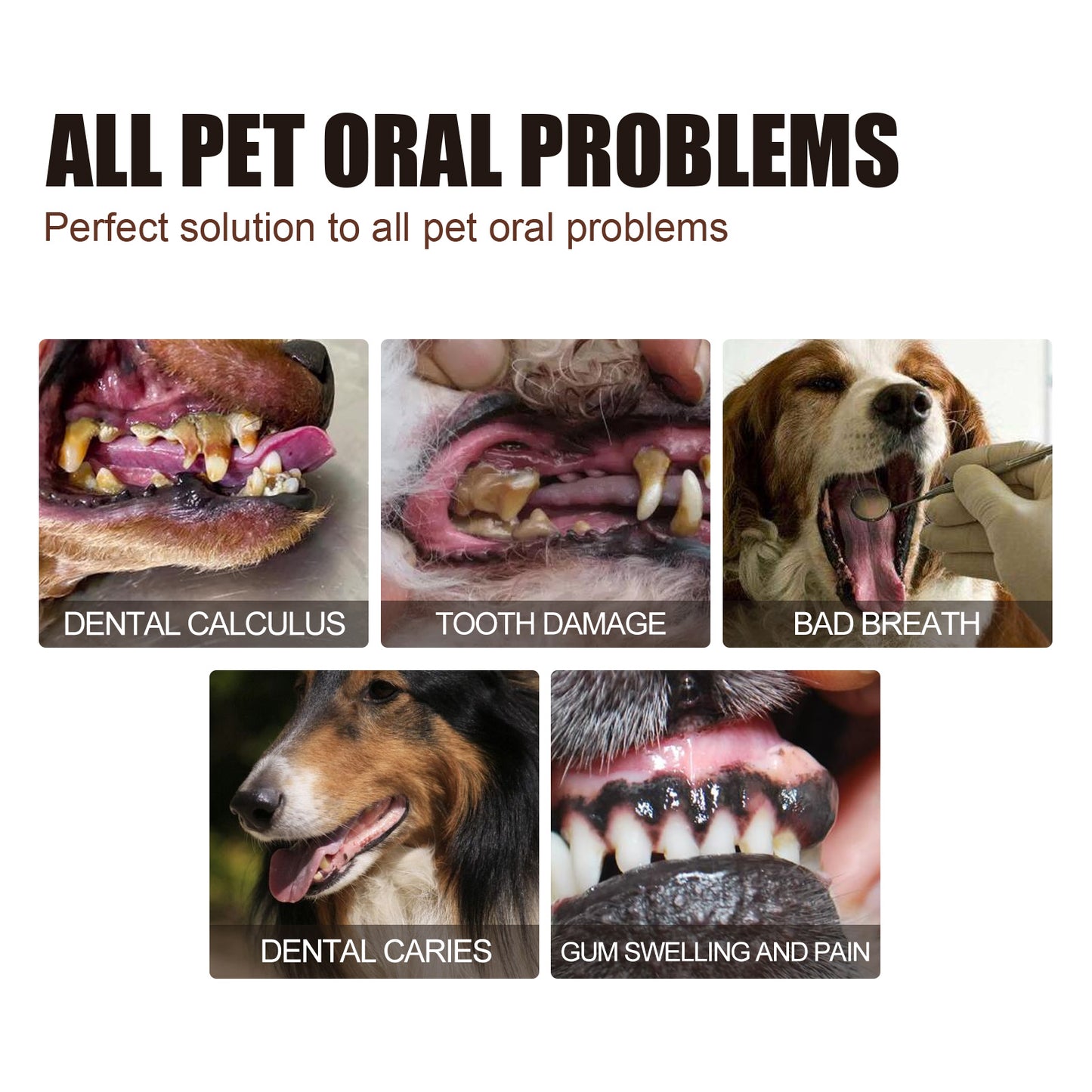 Yegbong Pet Teeth Cleaning Spray Dog and Cat Tartar and Stain Removal Oral Cleaning Spray