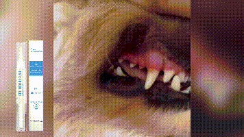 Yegbong New Pet Toothbrush Gentle Care Fresh Breath Oral Cleaning Odor Pet Dental Cleaning Pen