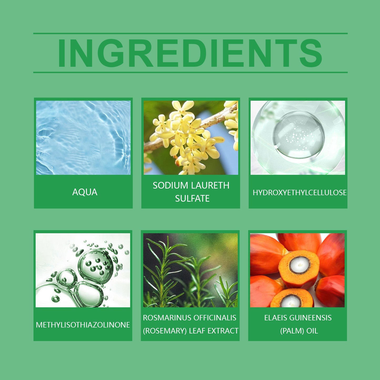 Hoegoa Shampoo for hair Batahna Clean Scalp Gentle Nourishing Smooth Hair Rosemary Shampoo