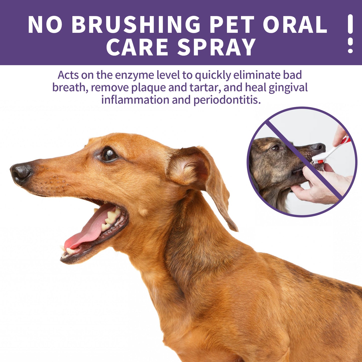Yegbong Dog and Cat Teeth Cleaning Spray Pet Oral Cleaning Fresh Breath Deodorizing Spray