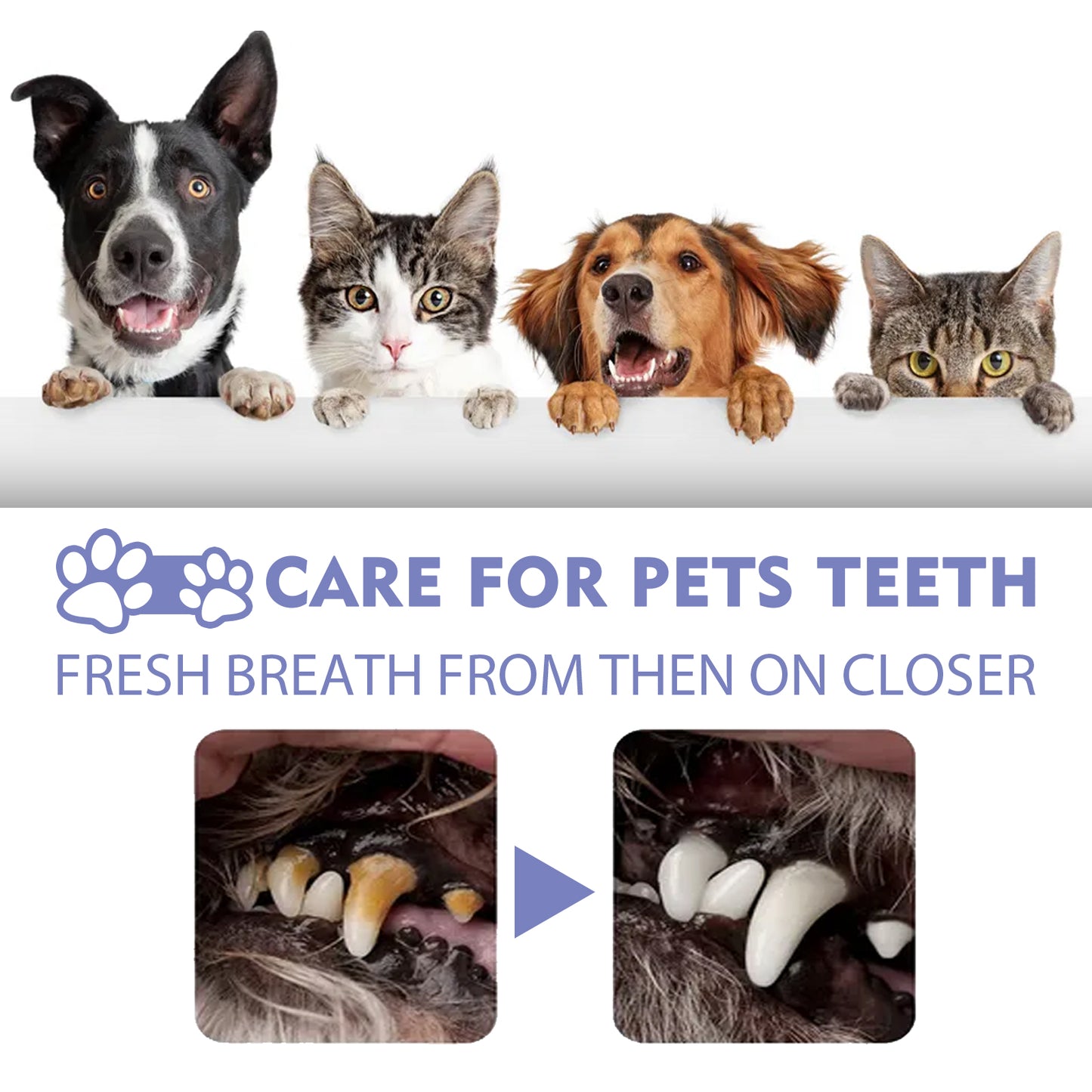 Yegbong Cat and Dog Teeth Cleaning Spray Remove Tooth Stains Freshen Breath Pet Oral Care Spray