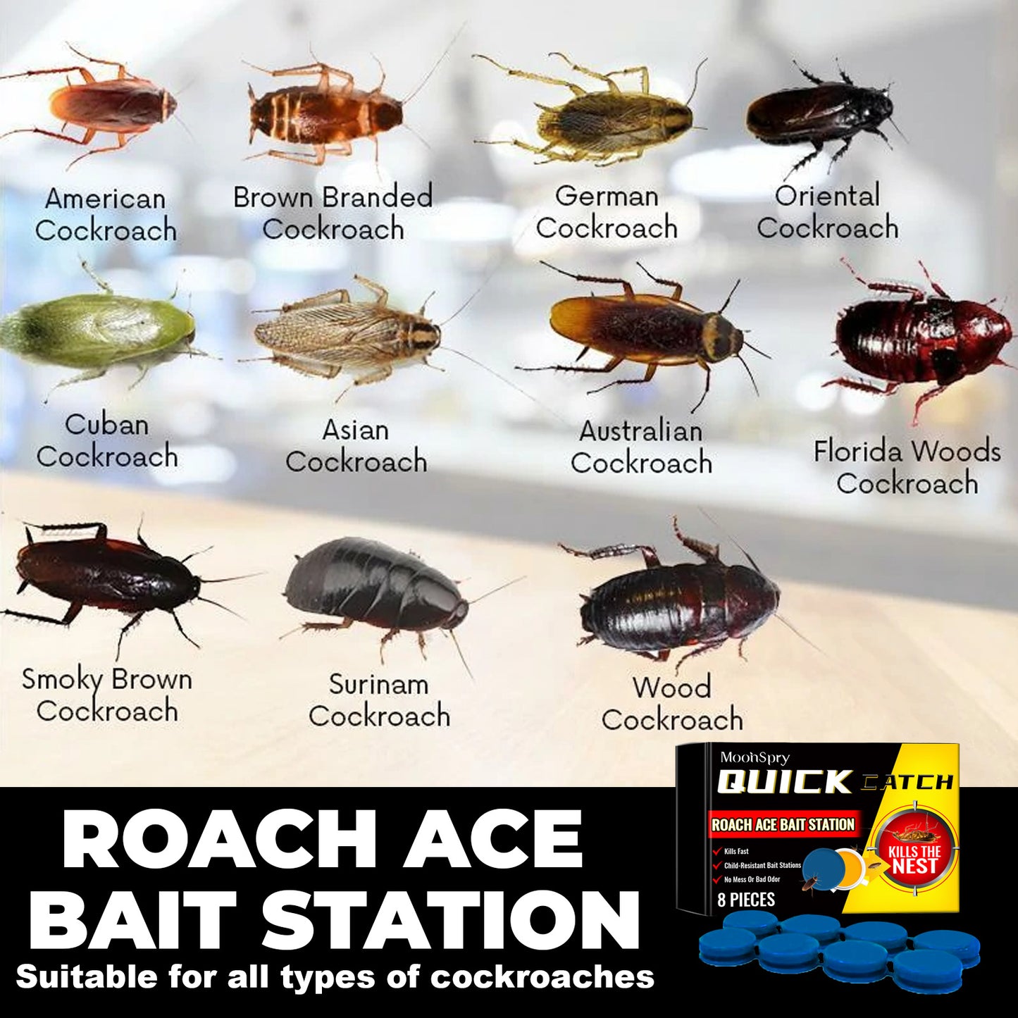 MoonSpry Cockroach Bait Station Insect Repellent Cockroach Bait Kitchen Household Cockroach Extermination Full Nest Cleaning Agent
