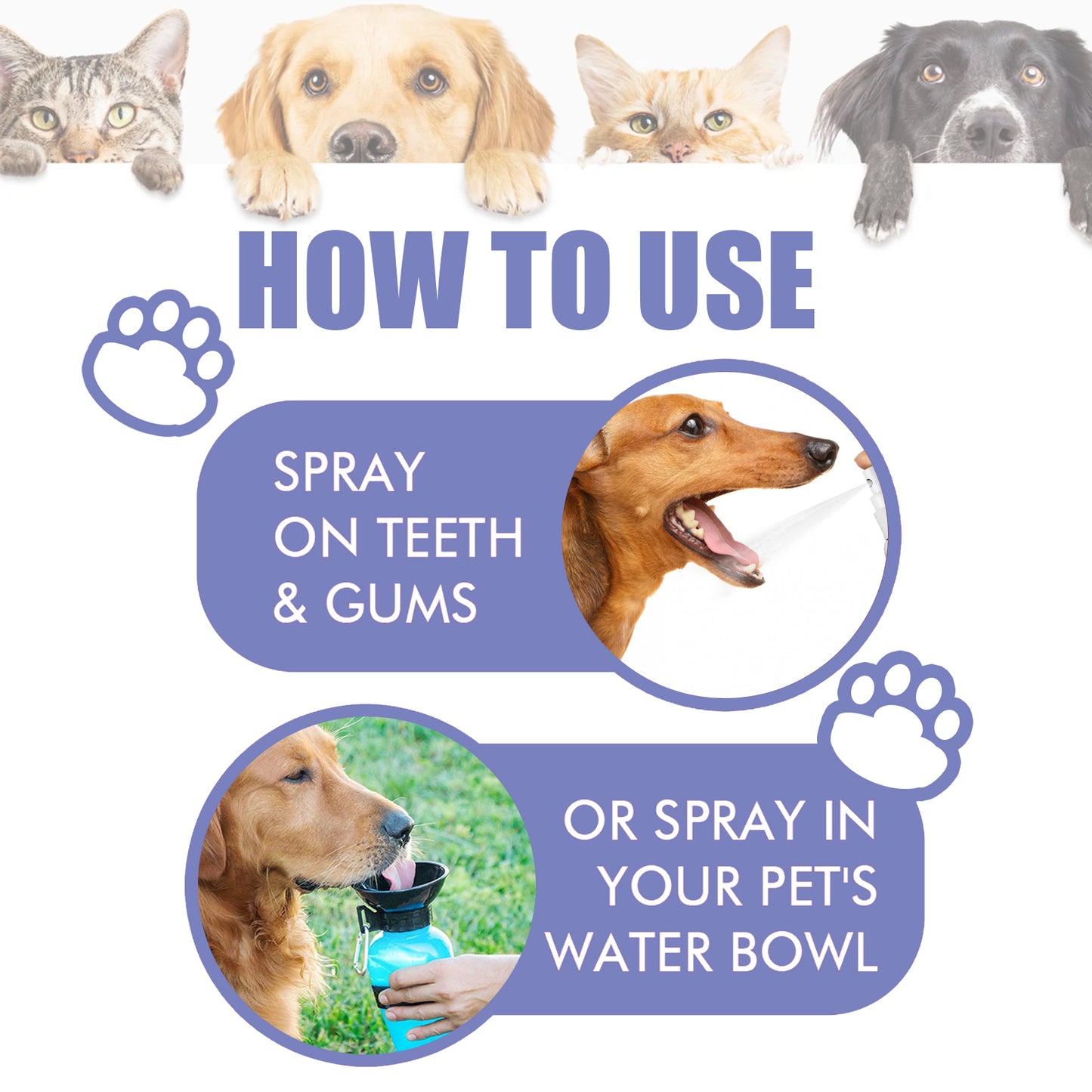 Yegbong Cat and Dog Teeth Cleaning Spray Remove Tooth Stains Freshen Breath Pet Oral Care Spray